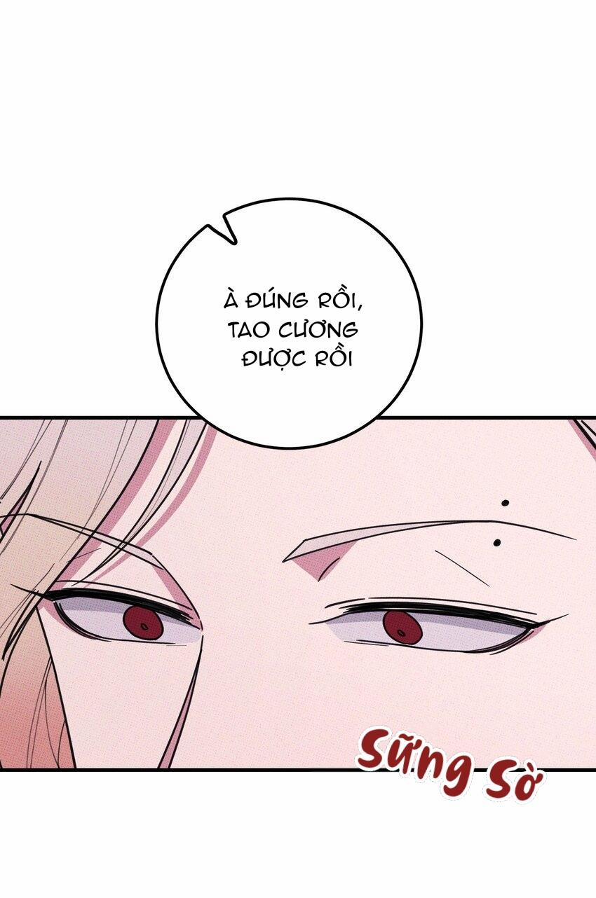 Hộp Bánh Quy Định Mệnh 28 trang 24