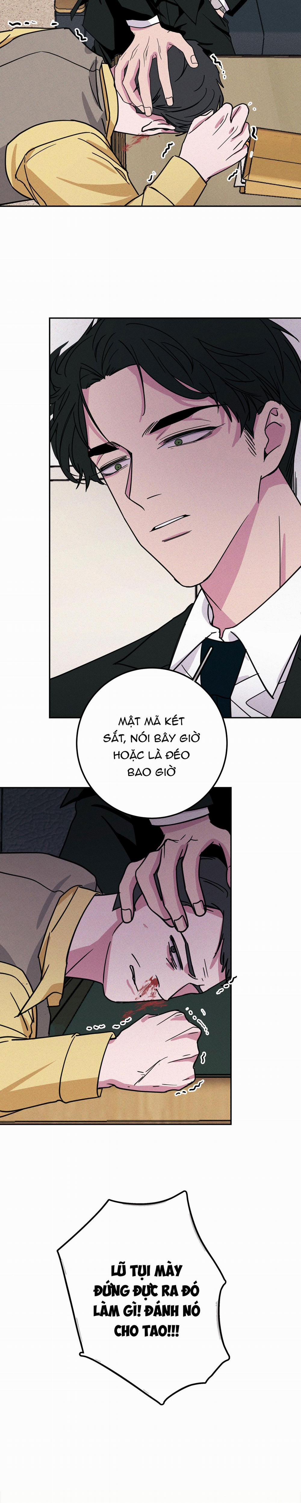 Hộp Bánh Quy Định Mệnh 3 trang 4