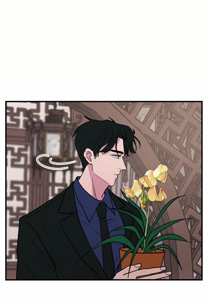 Hộp Bánh Quy Định Mệnh 30 trang 6