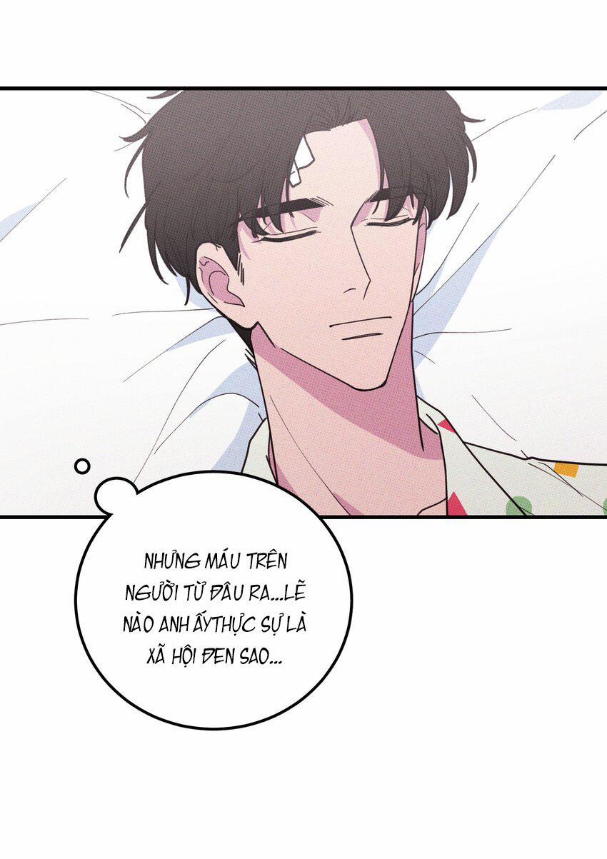 Hộp Bánh Quy Định Mệnh 32 trang 44