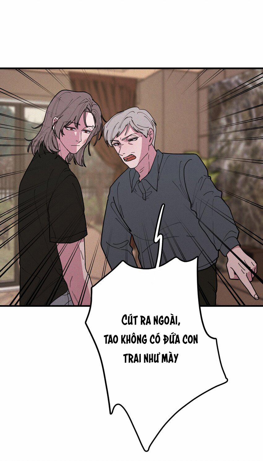 Hộp Bánh Quy Định Mệnh 34 trang 12