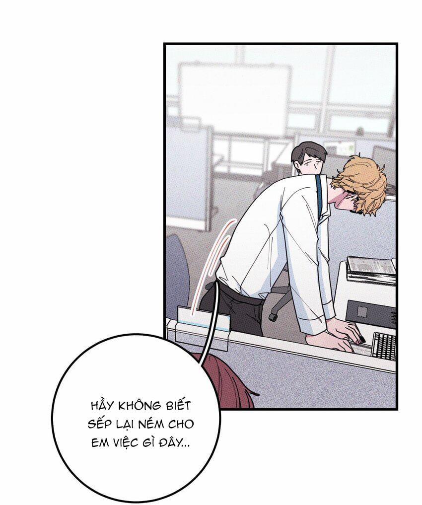 Hộp Bánh Quy Định Mệnh 35 trang 15