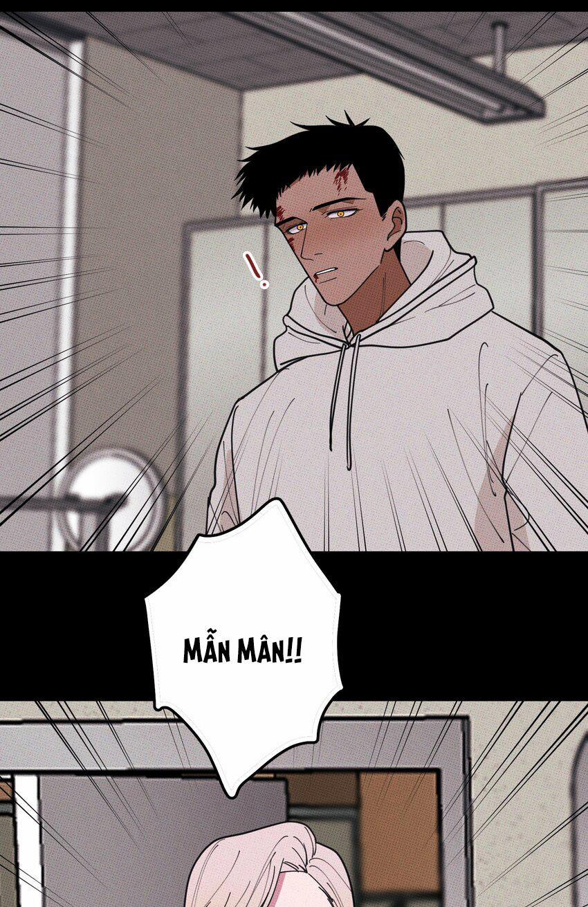 Hộp Bánh Quy Định Mệnh 35 trang 39