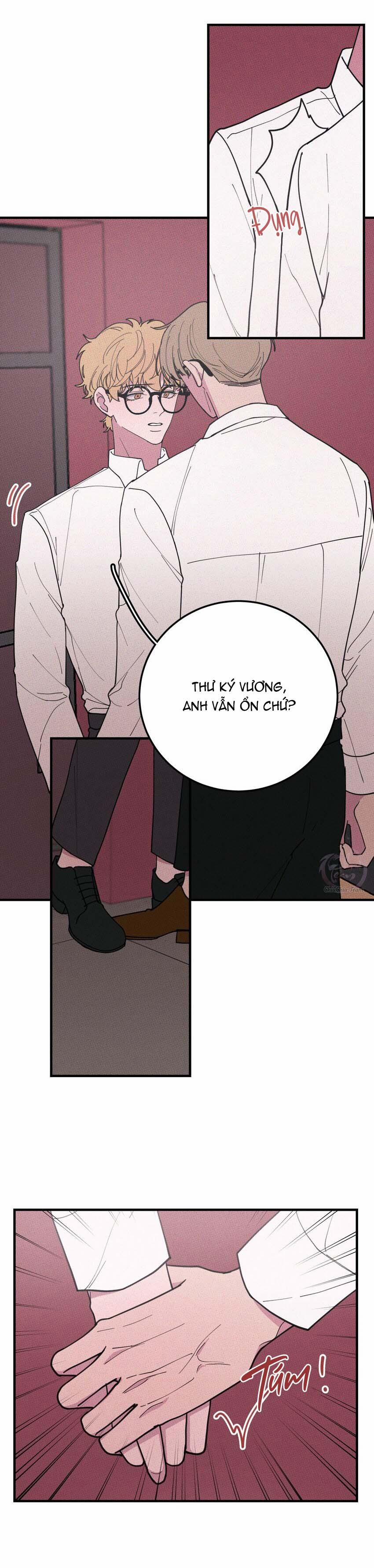 Hộp Bánh Quy Định Mệnh 36 trang 6