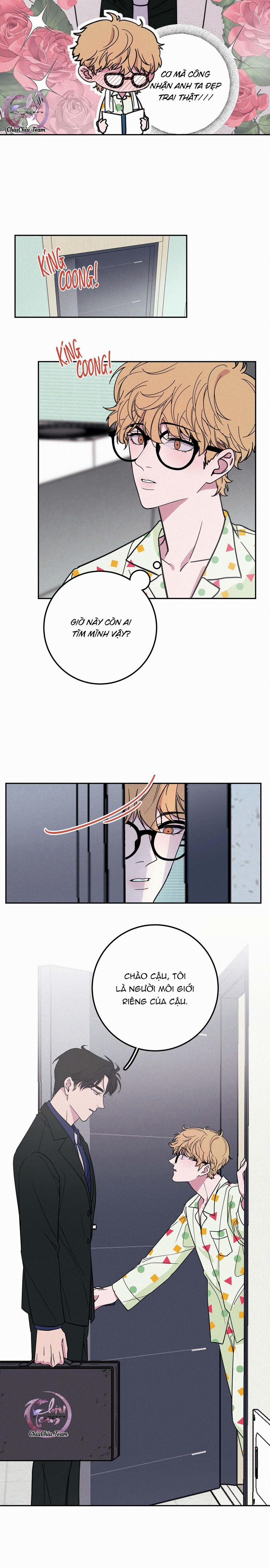 Hộp Bánh Quy Định Mệnh 4 trang 11