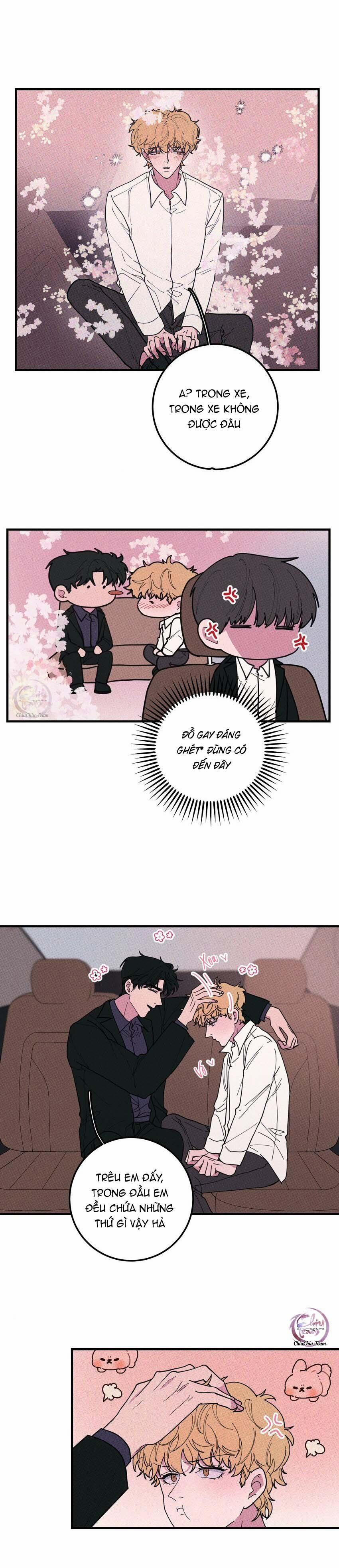 Hộp Bánh Quy Định Mệnh 40 trang 3