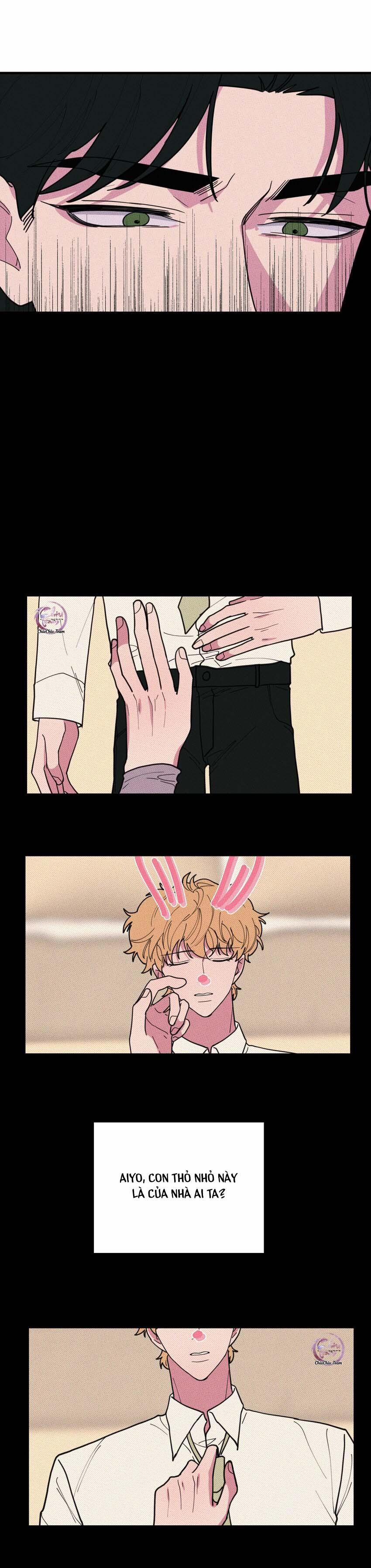 Hộp Bánh Quy Định Mệnh 45 trang 12