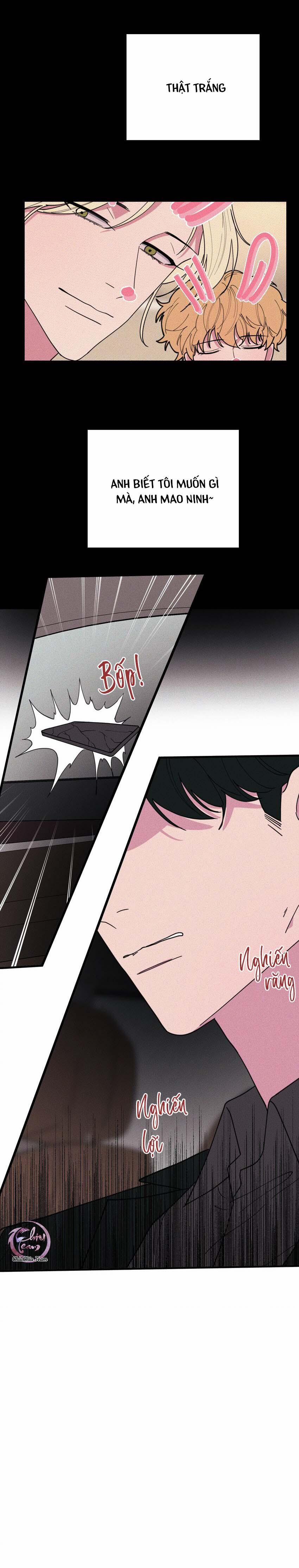 Hộp Bánh Quy Định Mệnh 45 trang 13