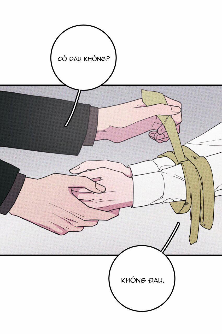 Hộp Bánh Quy Định Mệnh 47 trang 10