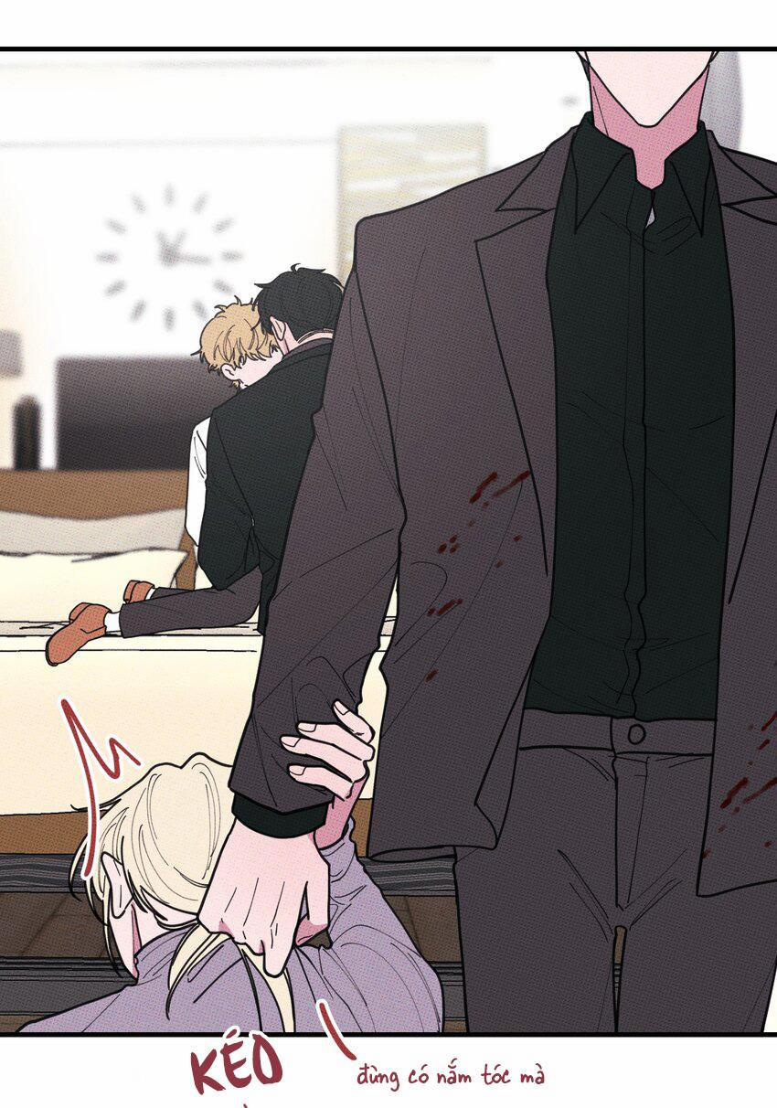 Hộp Bánh Quy Định Mệnh 47 trang 6