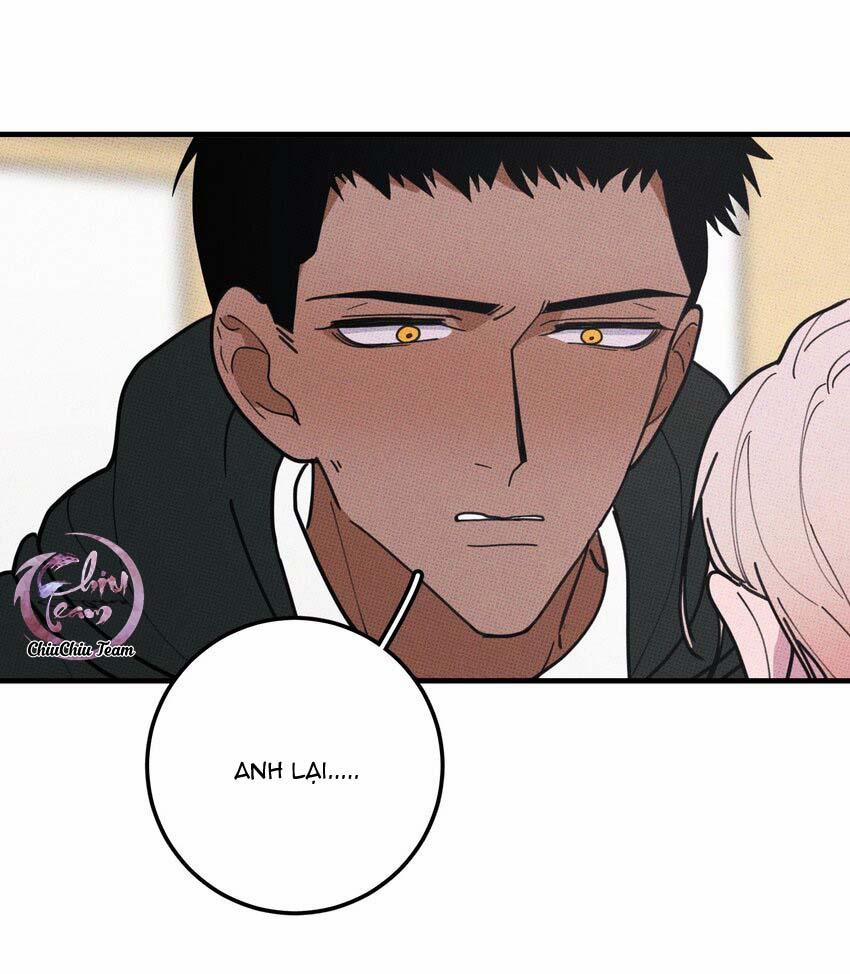 Hộp Bánh Quy Định Mệnh 48 trang 10