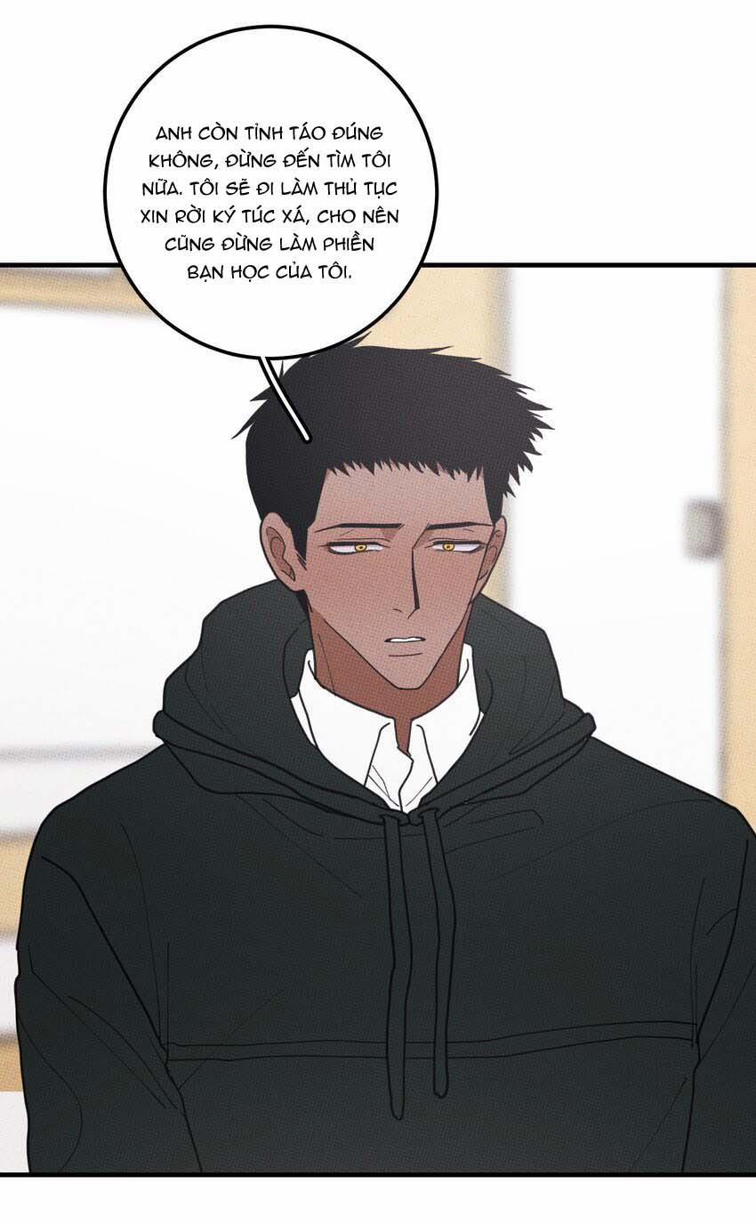 Hộp Bánh Quy Định Mệnh 48 trang 11