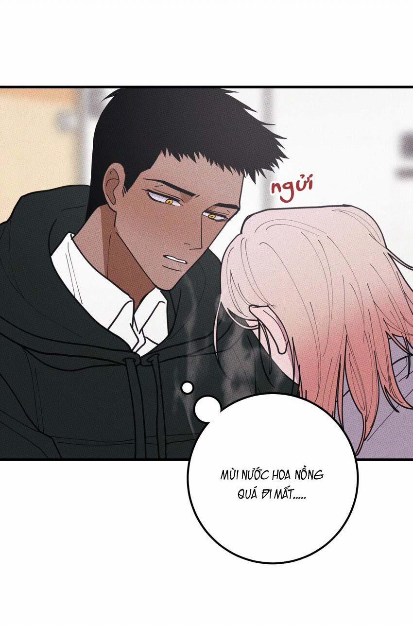 Hộp Bánh Quy Định Mệnh 48 trang 9