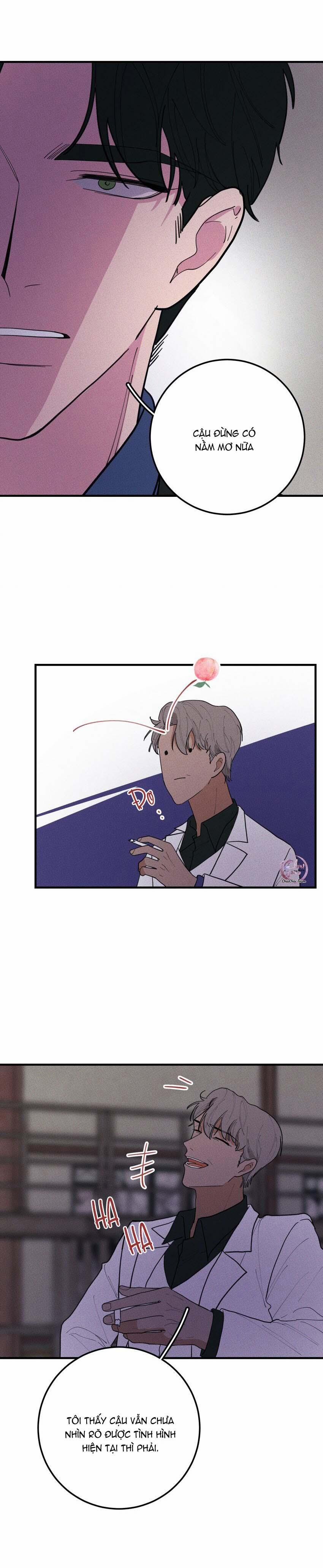 Hộp Bánh Quy Định Mệnh 49 trang 3