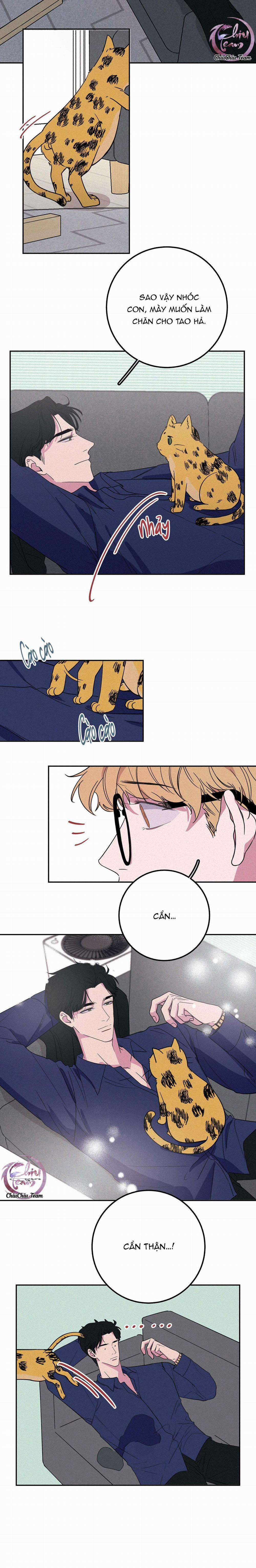 Hộp Bánh Quy Định Mệnh 5 trang 9