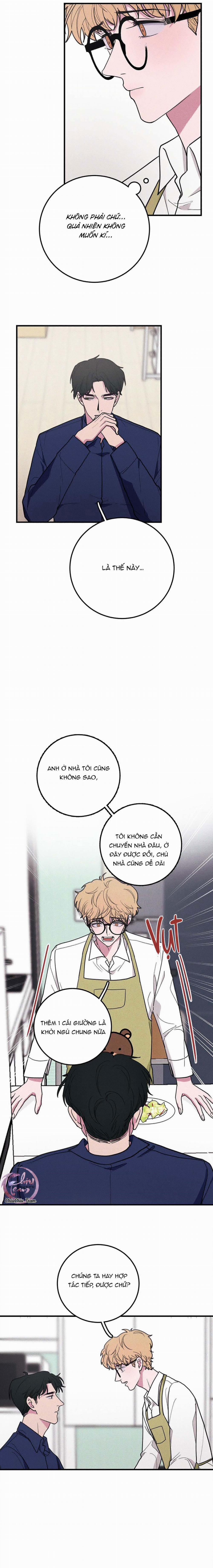 Hộp Bánh Quy Định Mệnh 8 trang 2