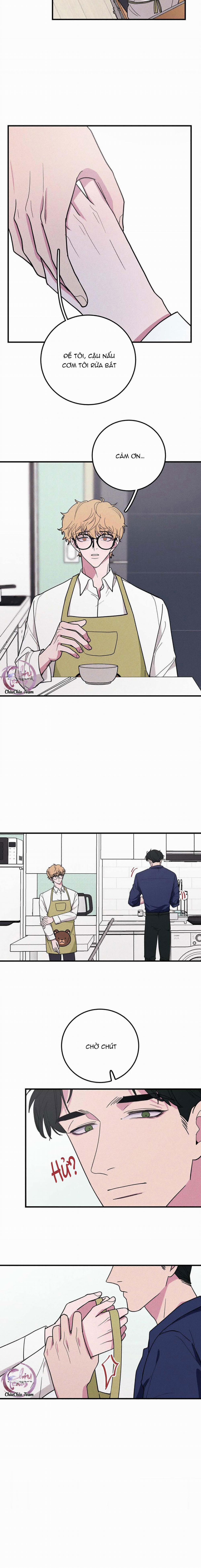 Hộp Bánh Quy Định Mệnh 8 trang 4