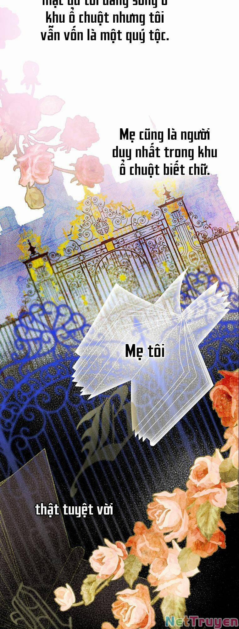 Hợp Đồng Hôn Nhân Của Mẹ Tôi 1 trang 13