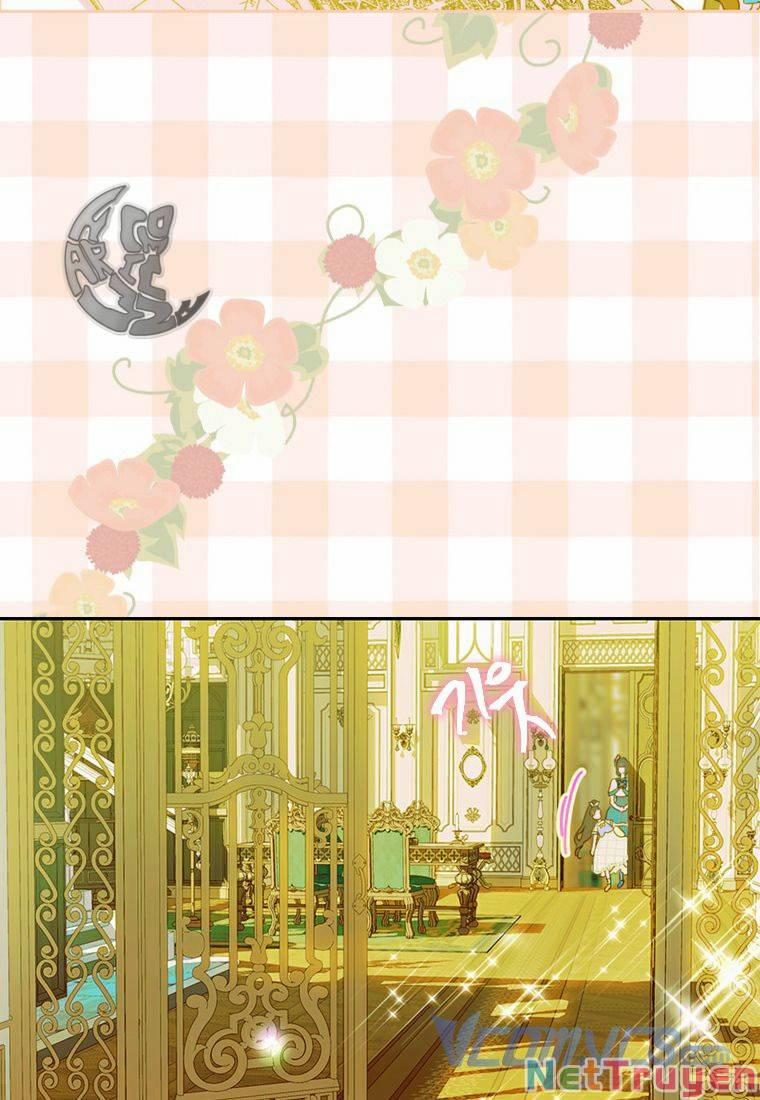 Hợp Đồng Hôn Nhân Của Mẹ Tôi 13 trang 14