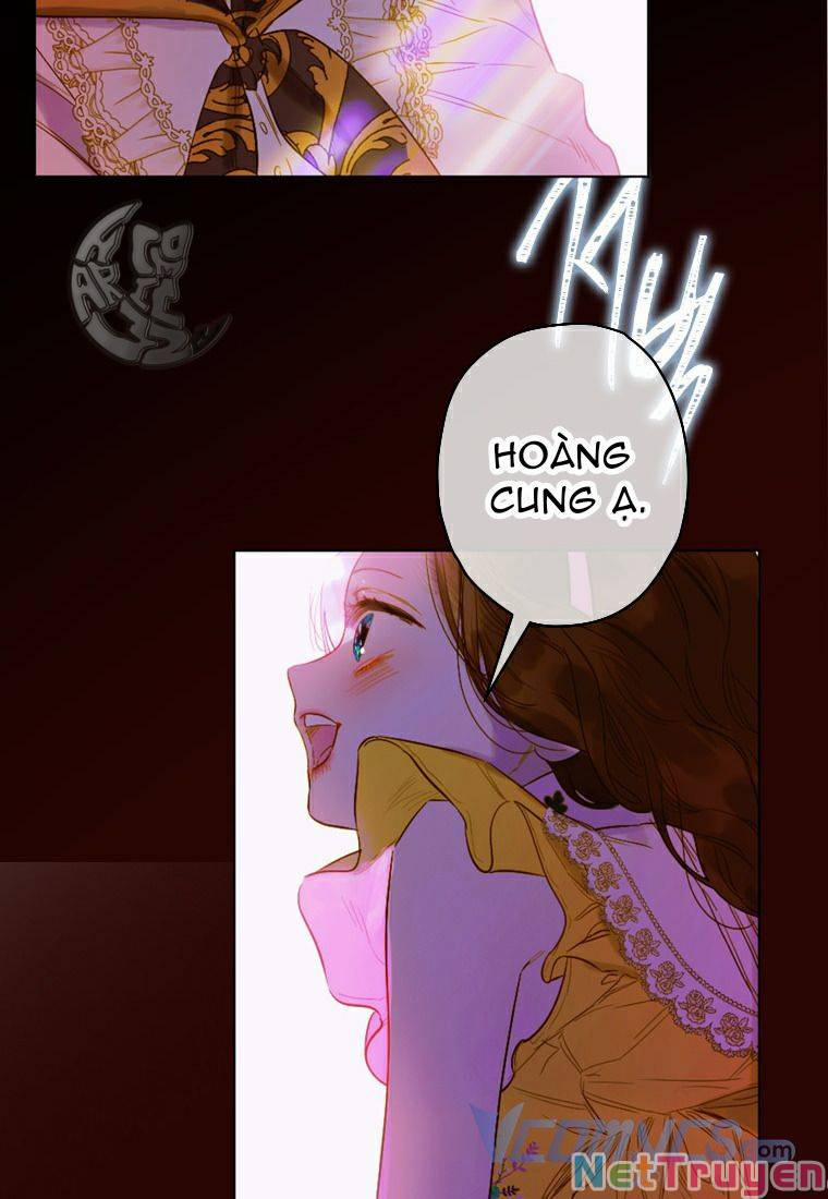 Hợp Đồng Hôn Nhân Của Mẹ Tôi 13 trang 2