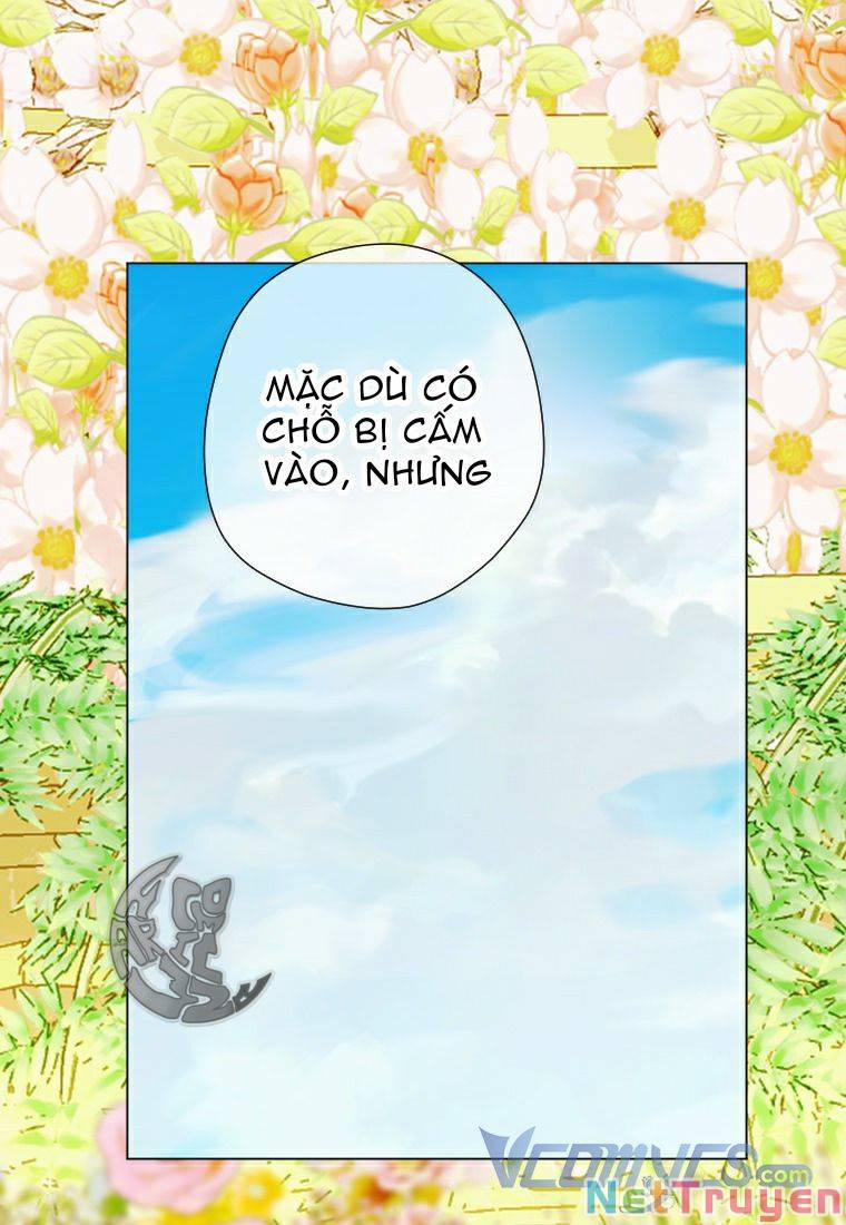 Hợp Đồng Hôn Nhân Của Mẹ Tôi 13 trang 34