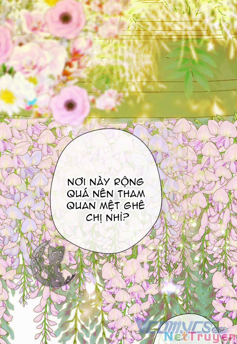 Hợp Đồng Hôn Nhân Của Mẹ Tôi 13 trang 35