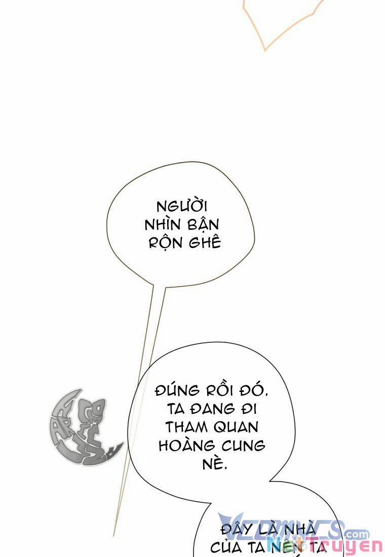 Hợp Đồng Hôn Nhân Của Mẹ Tôi 13 trang 41