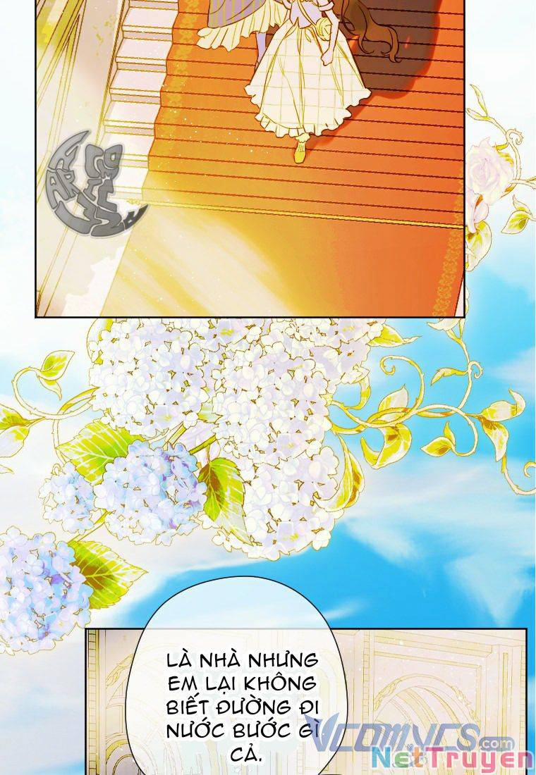 Hợp Đồng Hôn Nhân Của Mẹ Tôi 13 trang 8