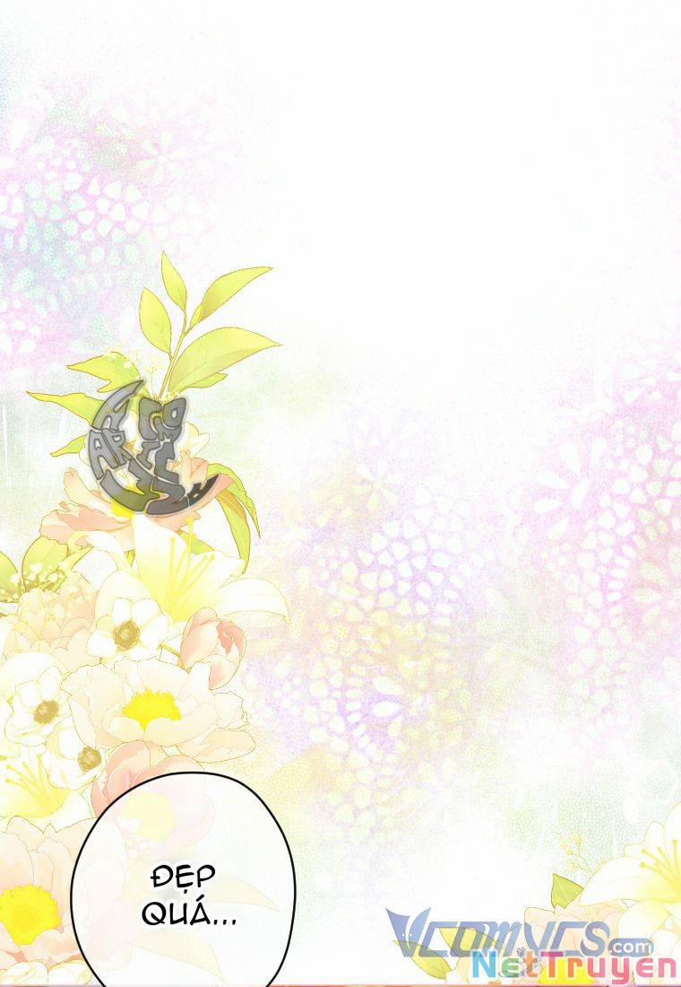 Hợp Đồng Hôn Nhân Của Mẹ Tôi 20 trang 6