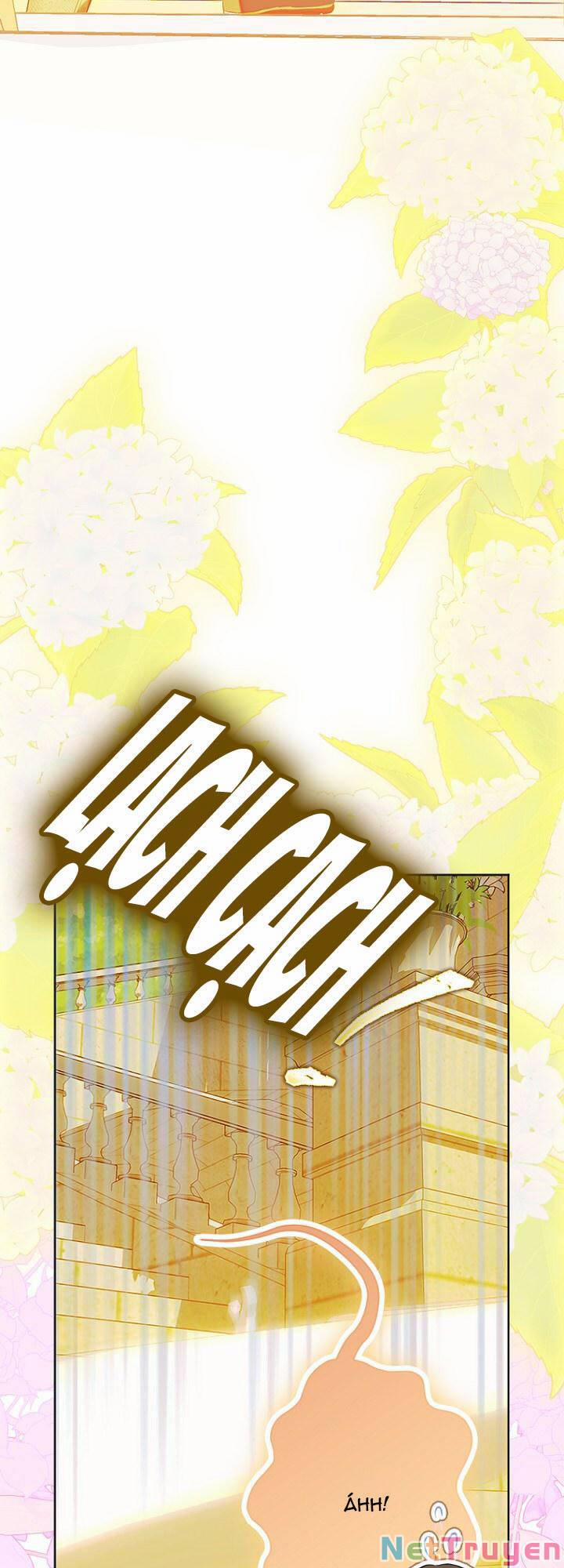 Hợp Đồng Hôn Nhân Của Mẹ Tôi 24 trang 36