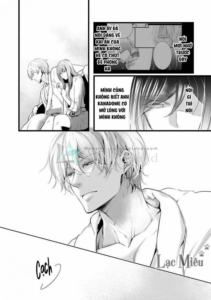 Hợp Đồng Hôn Nhân Với Ông Trùm Yakuza Xấu Xa 11 trang 13