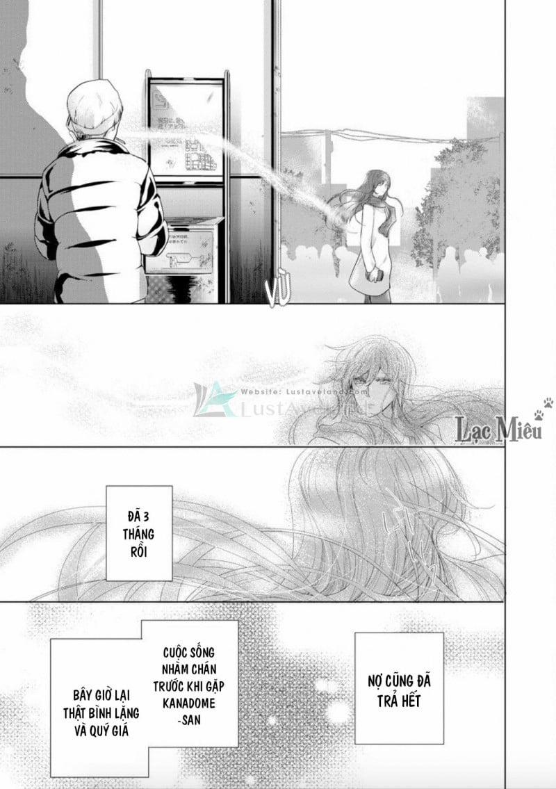 Hợp Đồng Hôn Nhân Với Ông Trùm Yakuza Xấu Xa 6 trang 4