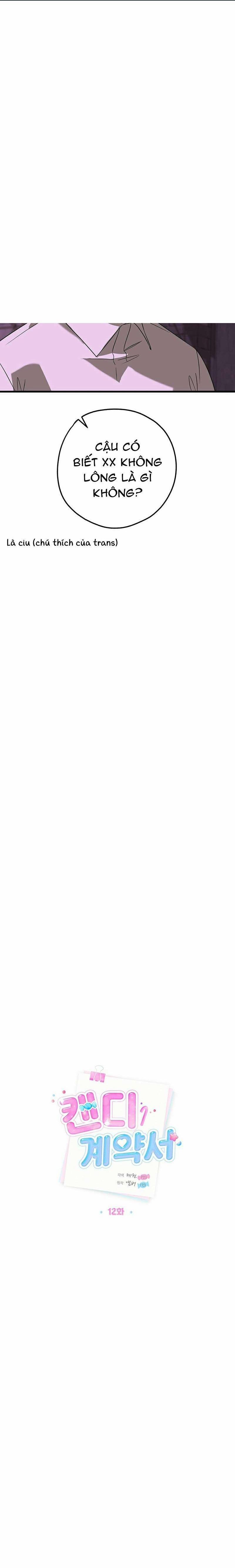 Hợp Đồng Kẹo Ngọt 12 trang 0