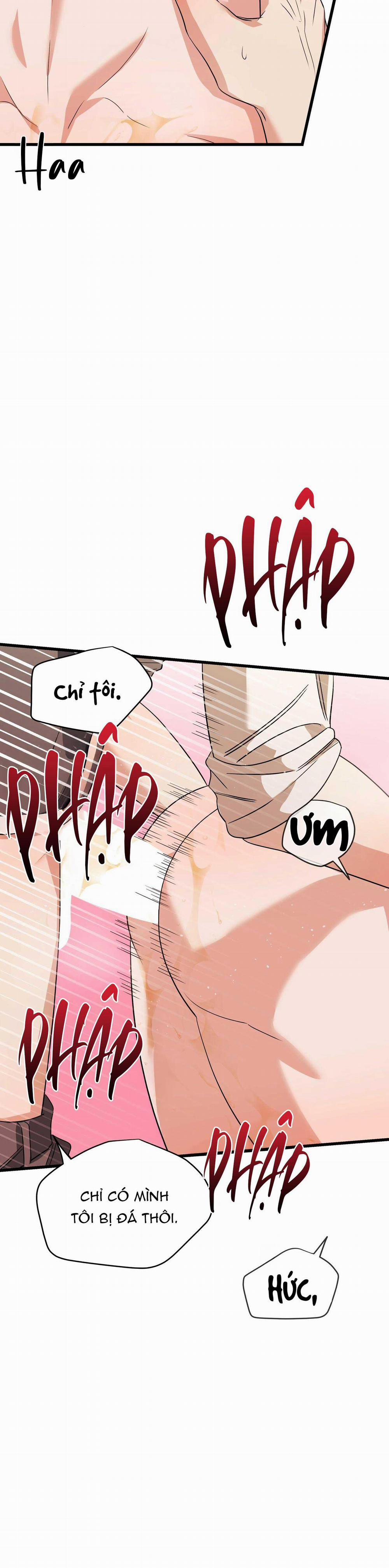 Hợp Đồng Kẹo Ngọt 15 0 trang 12