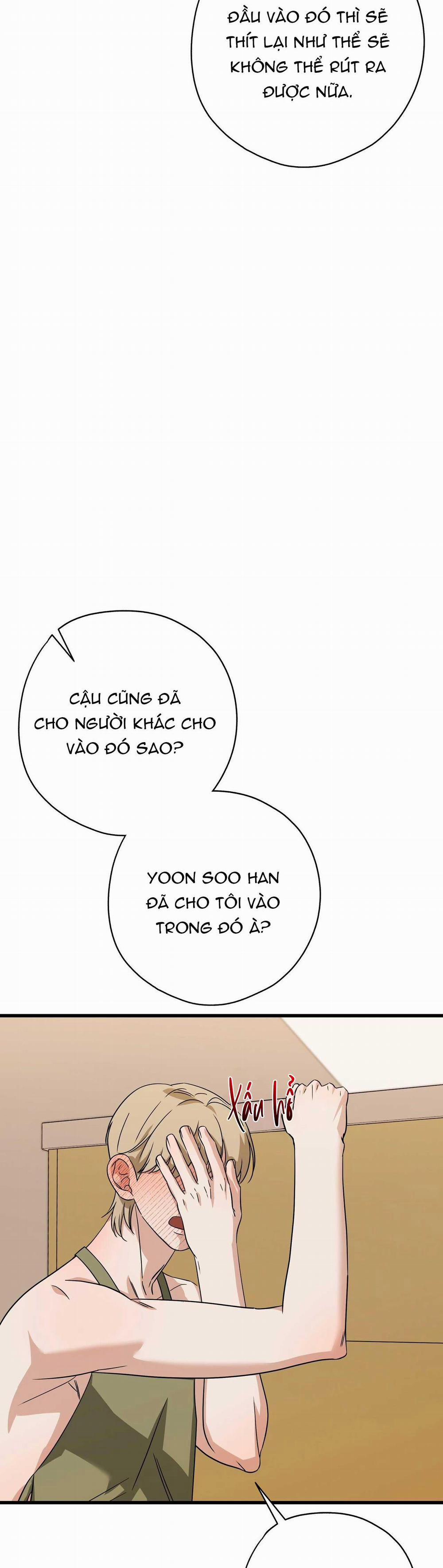 Hợp Đồng Kẹo Ngọt 15 0 trang 38