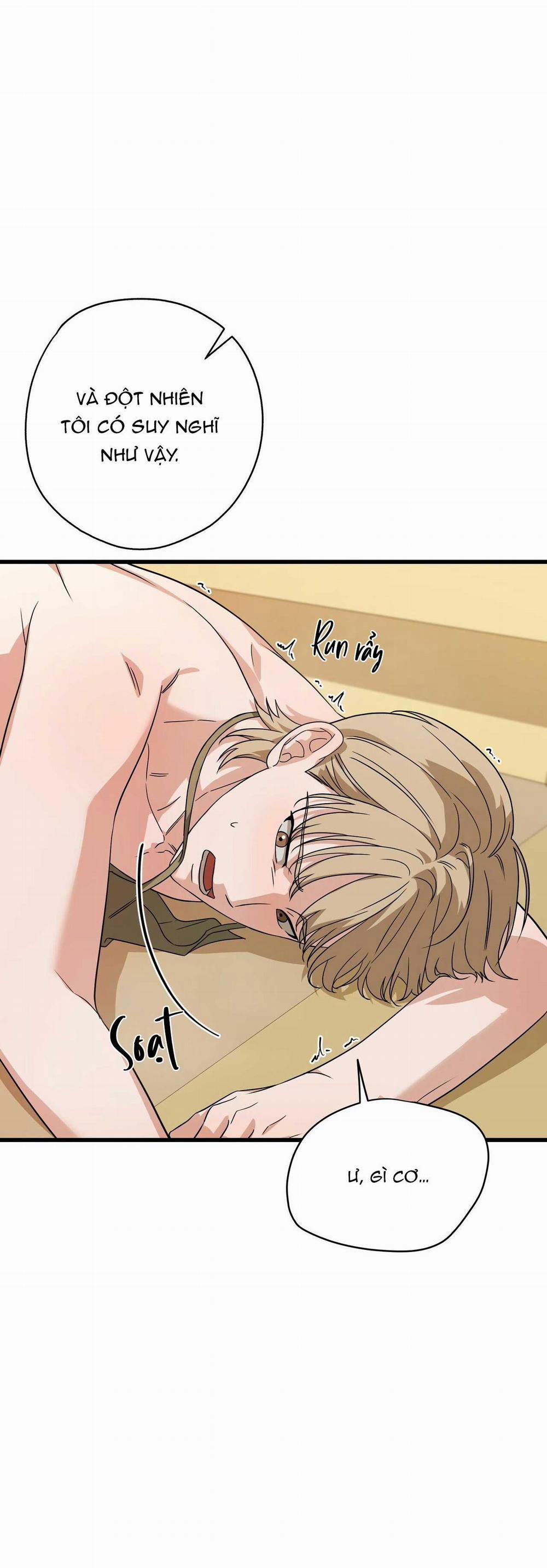 Hợp Đồng Kẹo Ngọt 15 0 trang 4