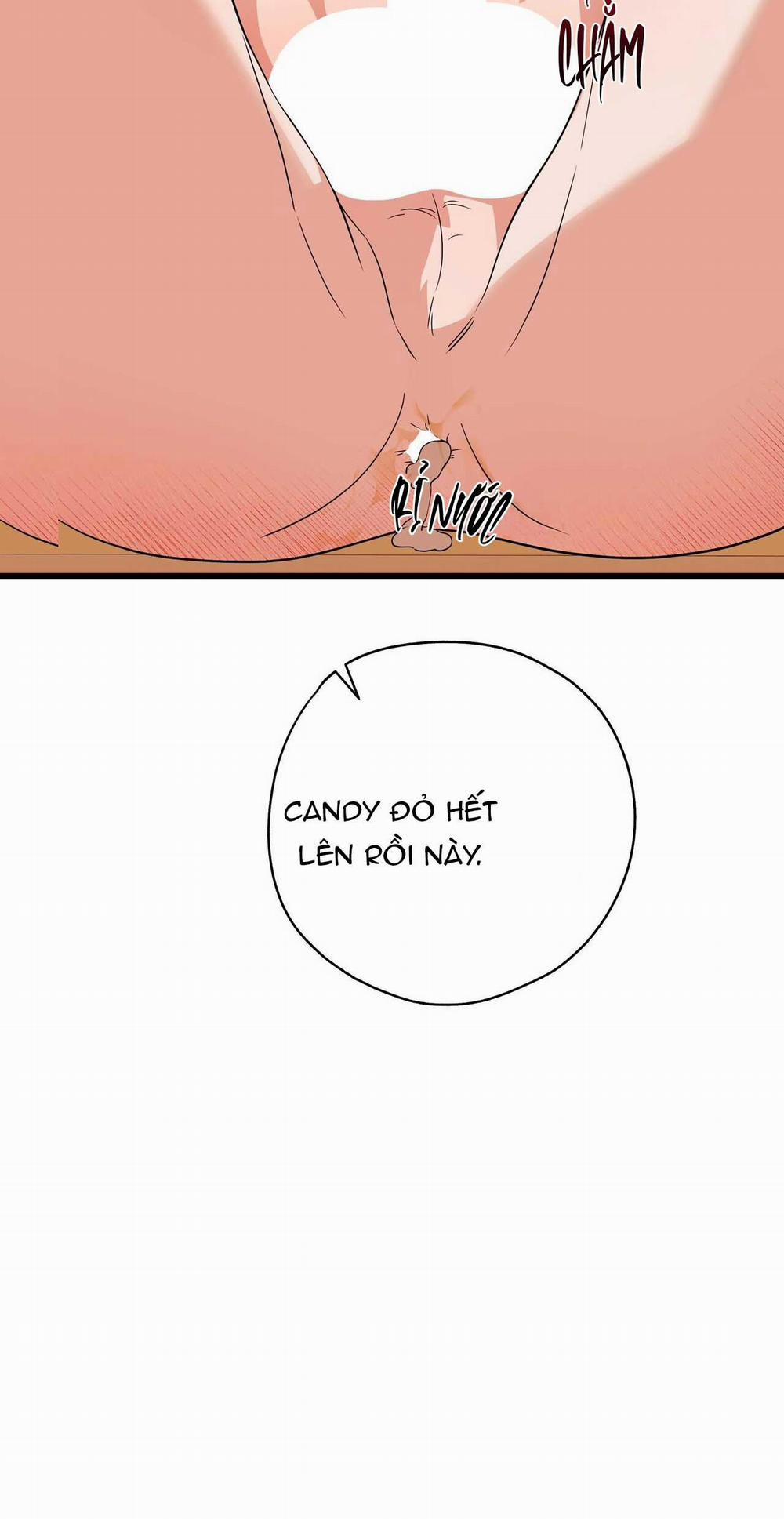 Hợp Đồng Kẹo Ngọt 15 0 trang 59