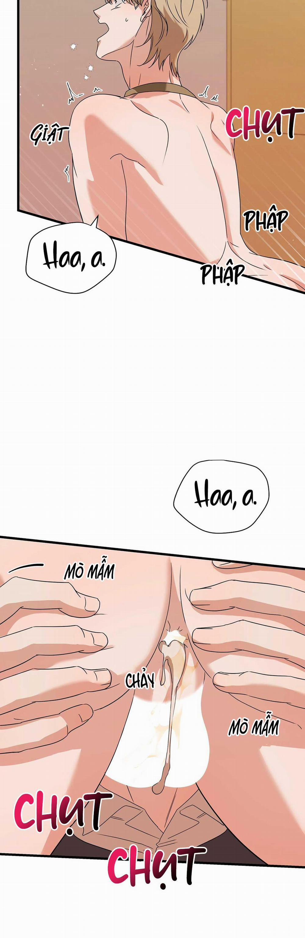 Hợp Đồng Kẹo Ngọt 16 0 trang 13