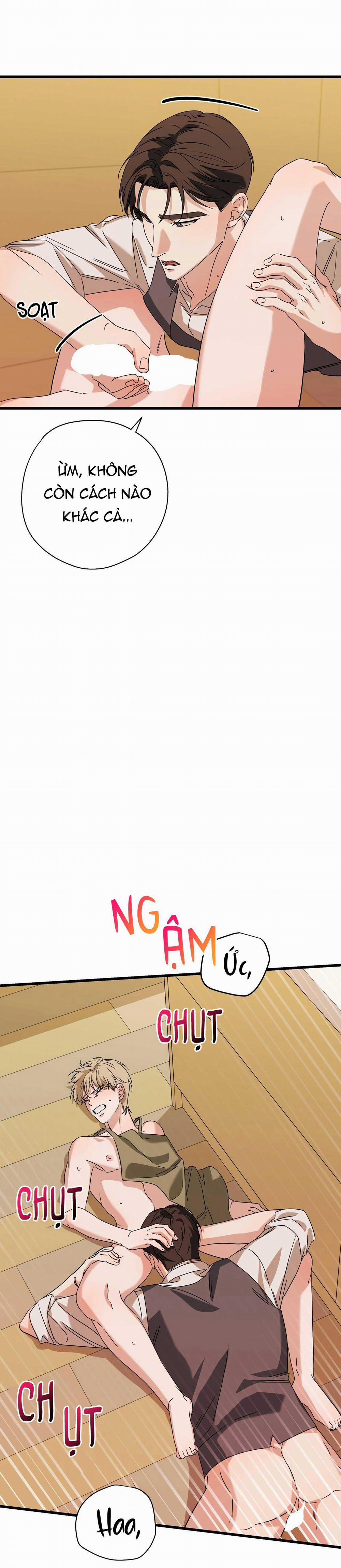 Hợp Đồng Kẹo Ngọt 16 0 trang 2