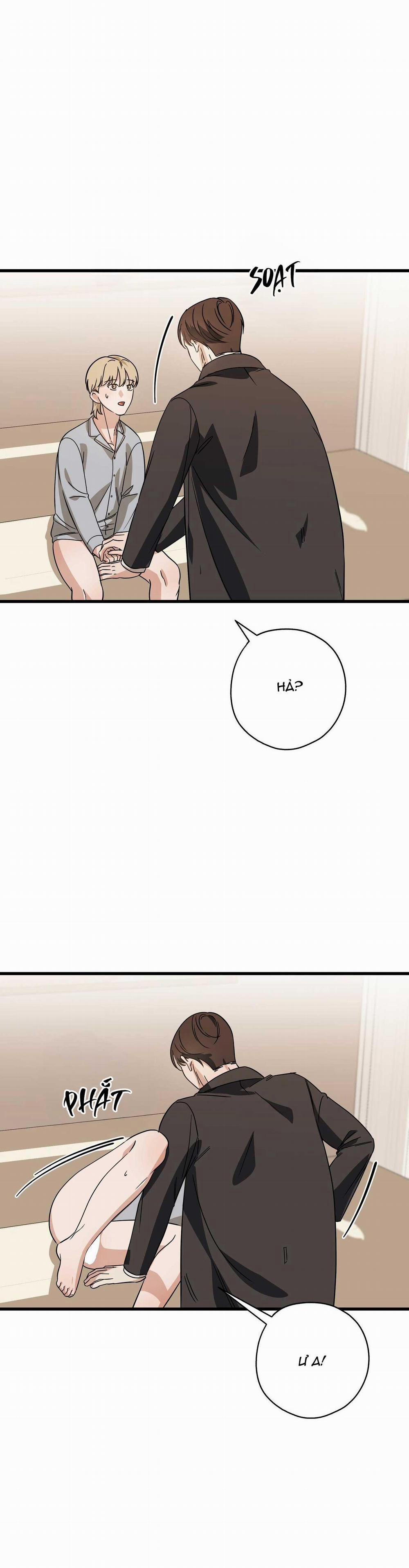 Hợp Đồng Kẹo Ngọt 21 0 trang 24