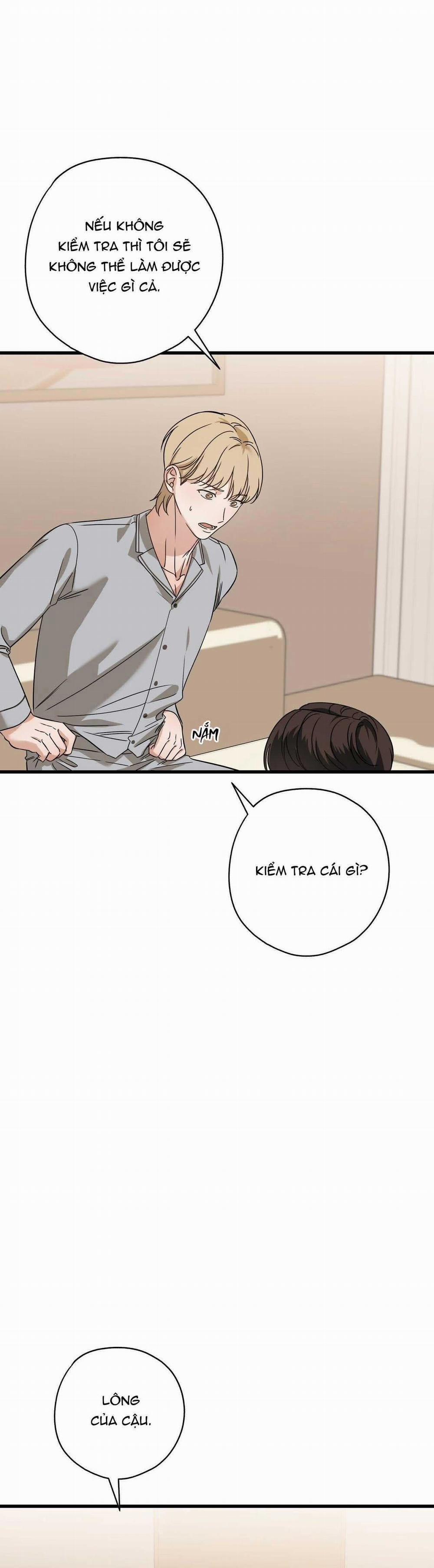 Hợp Đồng Kẹo Ngọt 21 trang 16