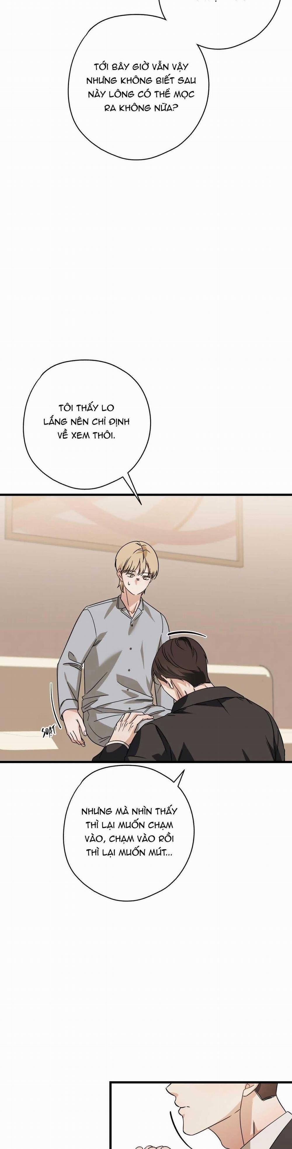 Hợp Đồng Kẹo Ngọt 21 trang 18