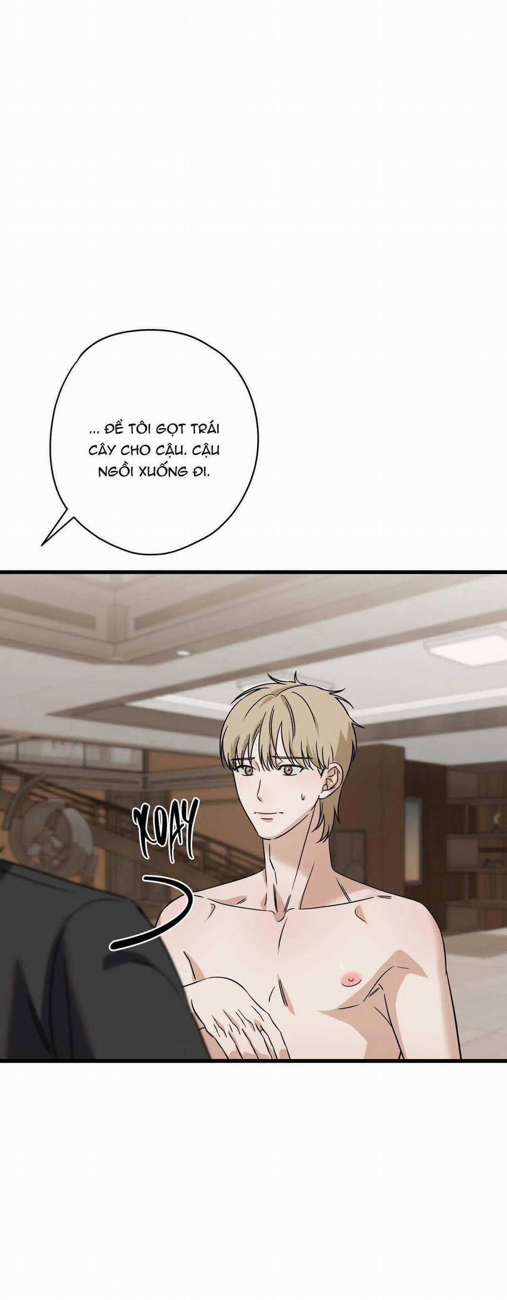 Hợp Đồng Kẹo Ngọt 29 trang 31