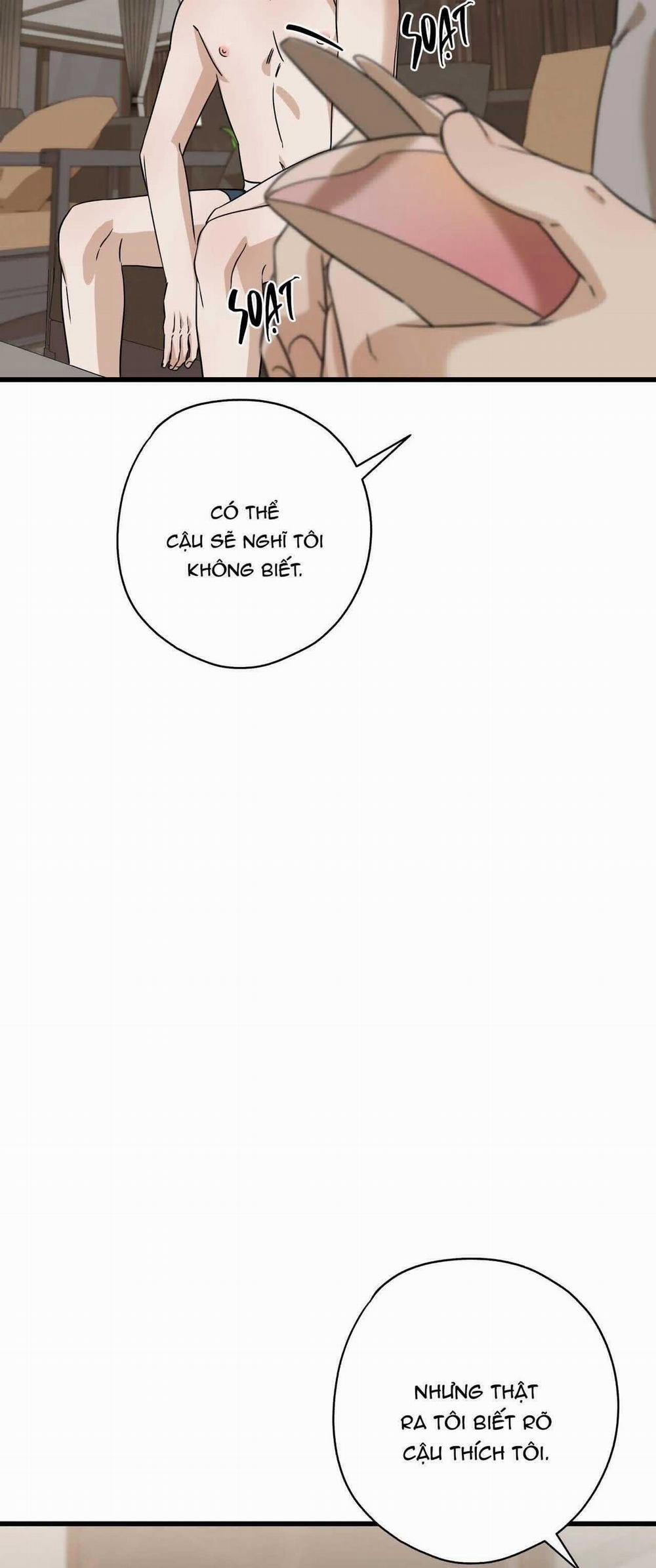 Hợp Đồng Kẹo Ngọt 29 trang 38