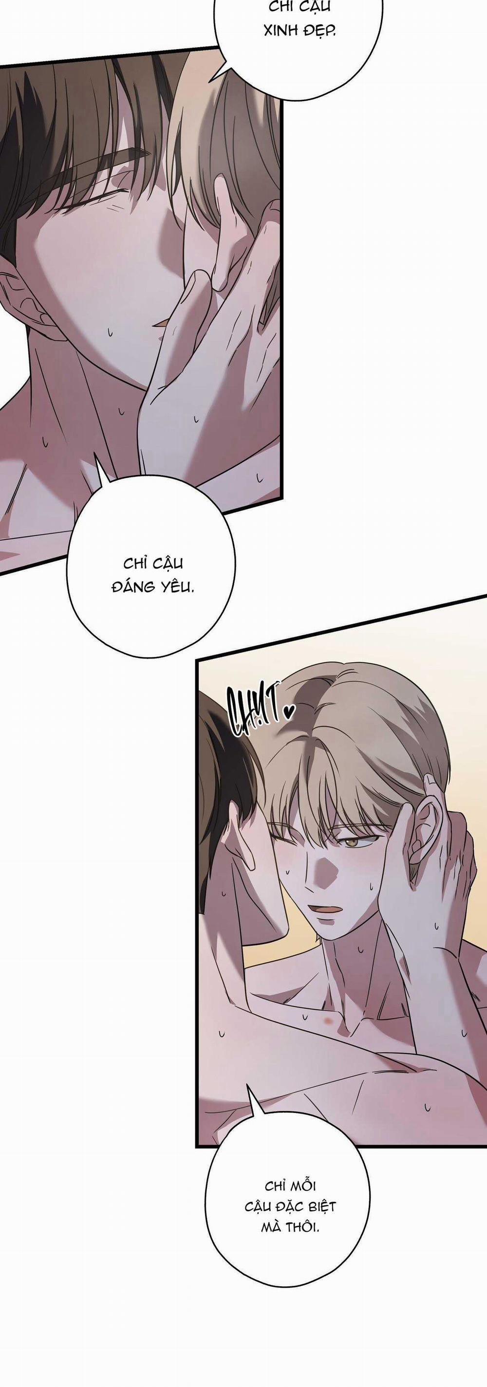 Hợp Đồng Kẹo Ngọt 30 trang 25