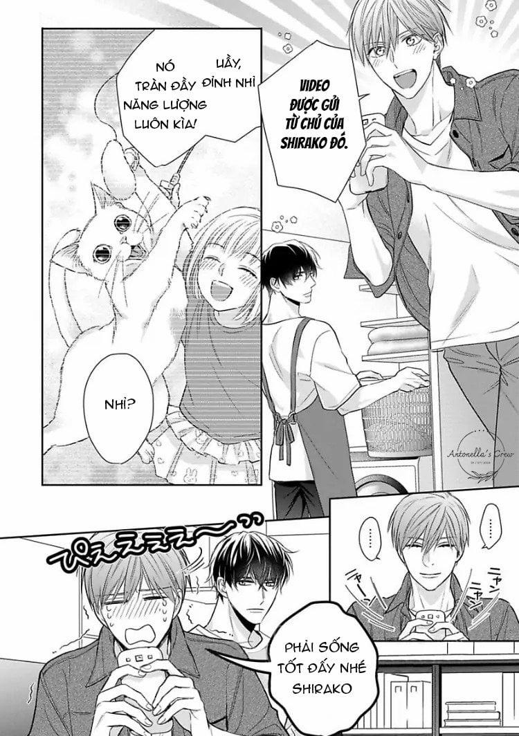 Hợp Đồng Sống Chung 5 trang 29