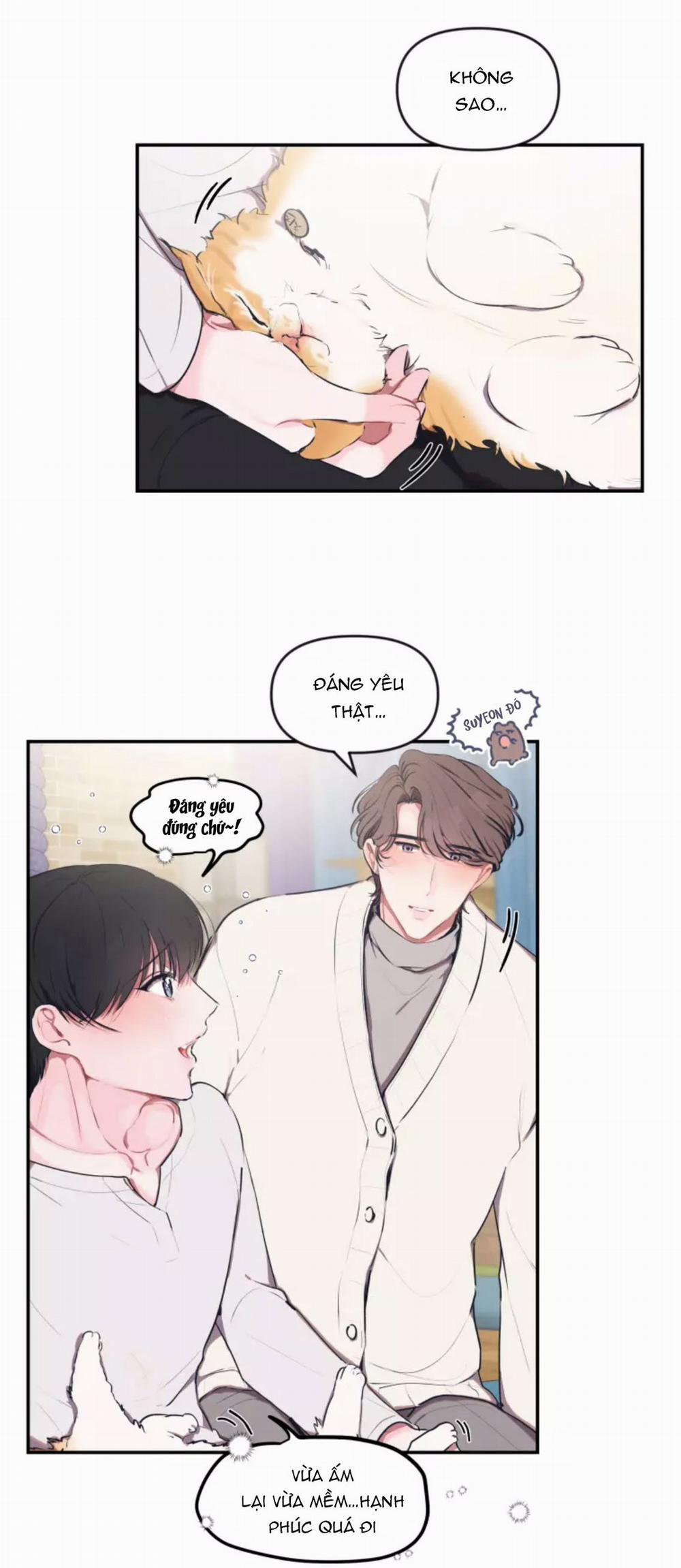 Hợp Đồng Tình Yêu 47 trang 1