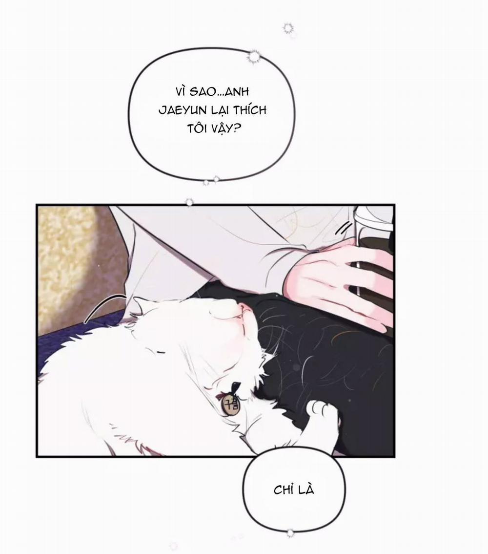 Hợp Đồng Tình Yêu 47 trang 10