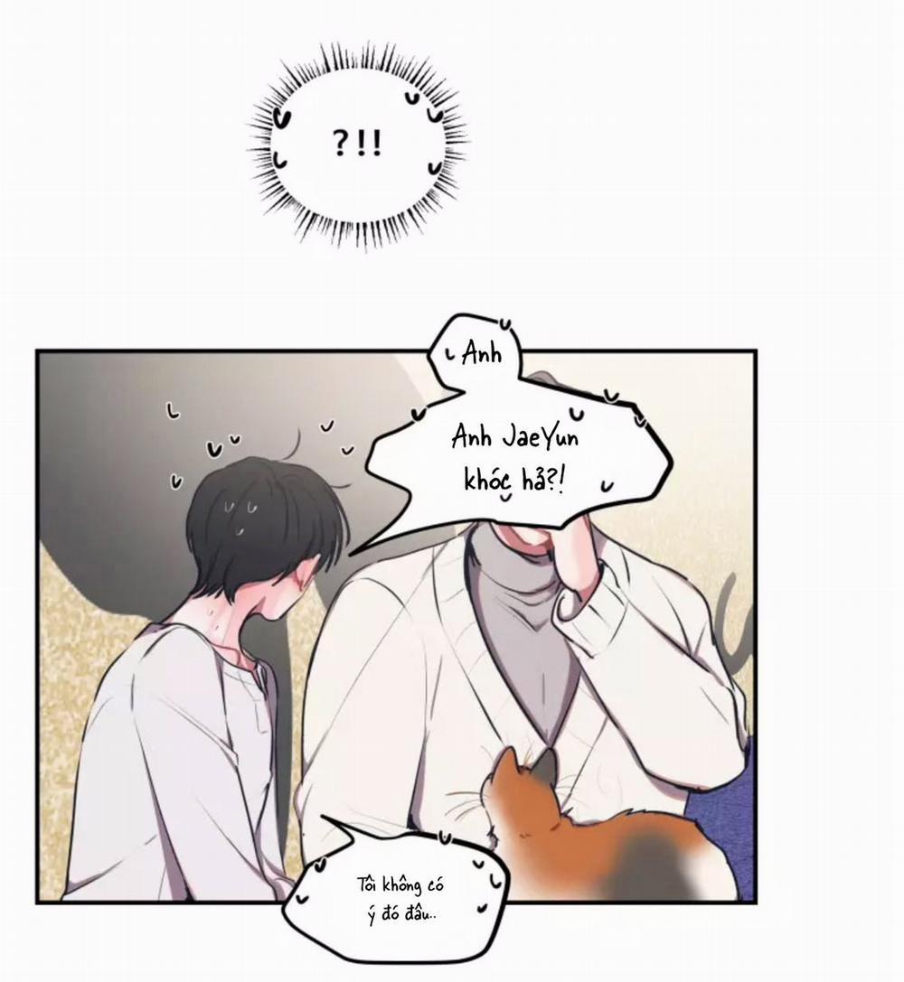 Hợp Đồng Tình Yêu 47 trang 14