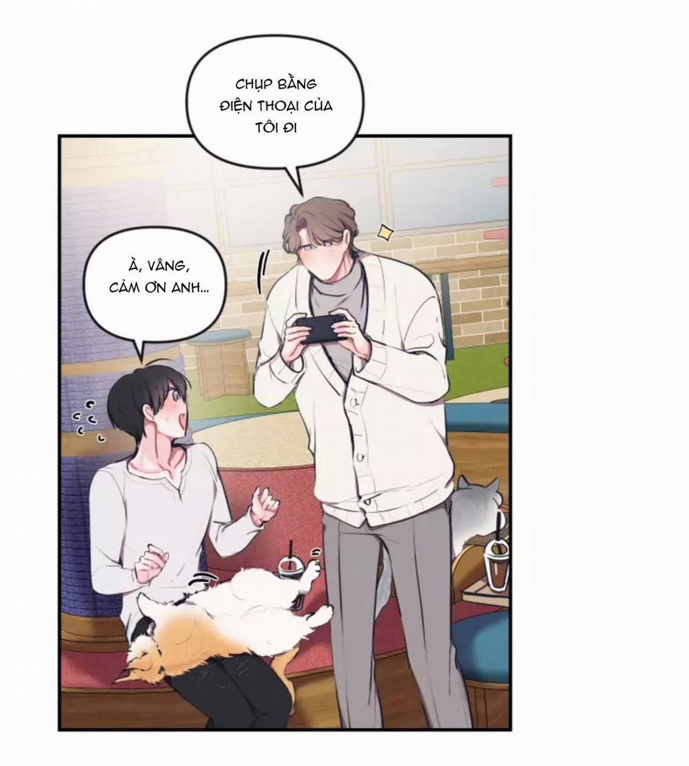 Hợp Đồng Tình Yêu 47 trang 3